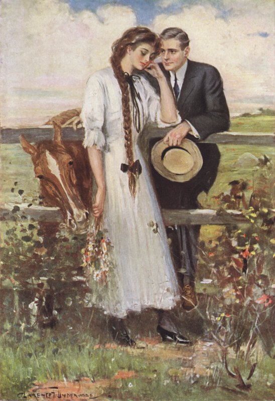 Jak poznać dzikie kwiaty autorstwa Clarence F. Underwood