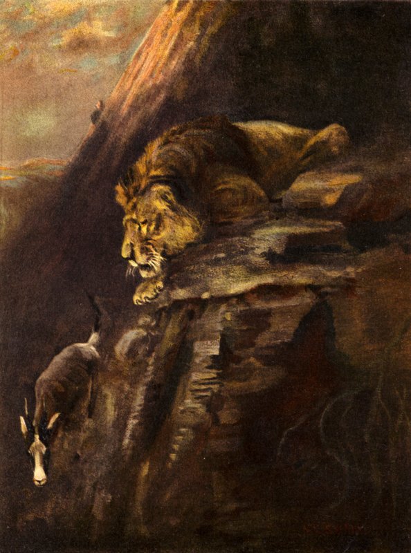 Skok na całe życie (kolor lito) autorstwa Cuthbert Edmund Swan