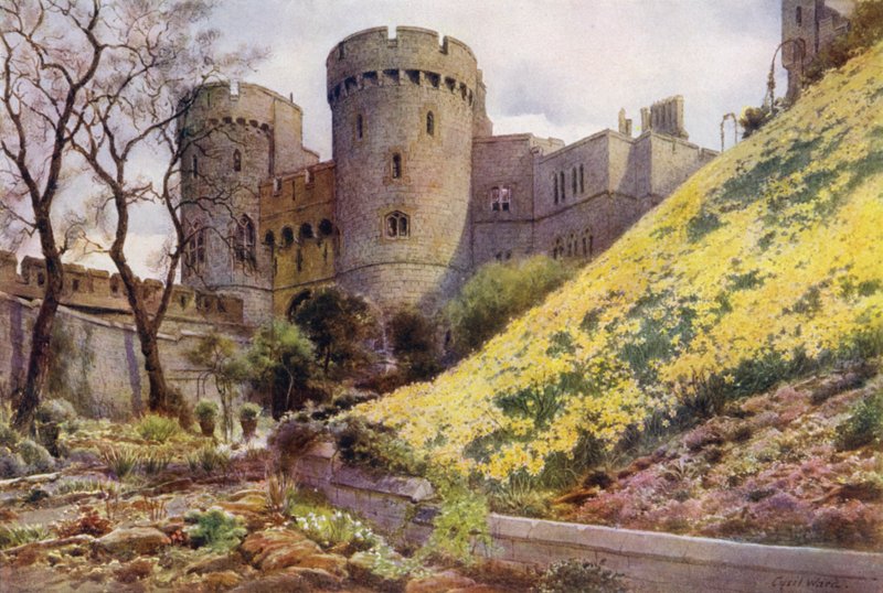 Żonkile na wzgórzu poniżej Okrągłej Wieży, Zamek Windsor (kolor lito) autorstwa Cyril Ward