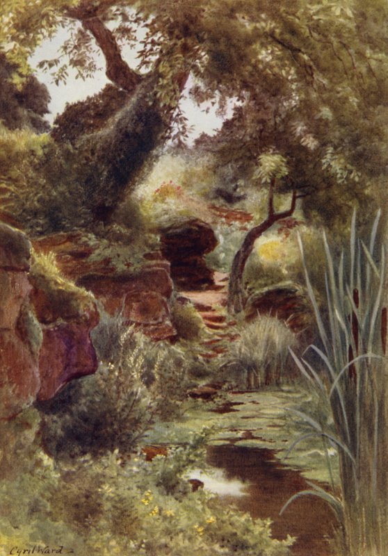 Część ogrodu skalnego nad jeziorem Upper Lake, Sandringham (kolor lito) autorstwa Cyril Ward
