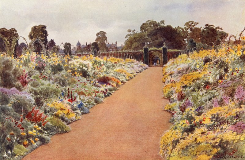 Podwójne granice we wschodnim ogrodzie, Sandringham (kolor lito) autorstwa Cyril Ward