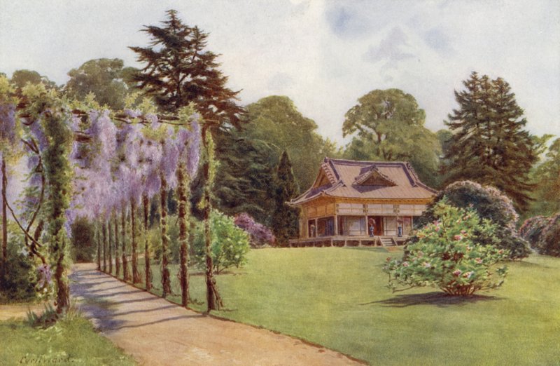 Dom Japoński i Pergola Wistaria, Bagshot Park (kolor lito) autorstwa Cyril Ward