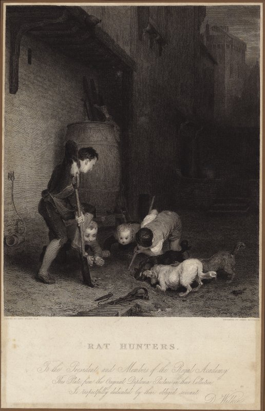 Łowcy szczurów autorstwa David Wilkie