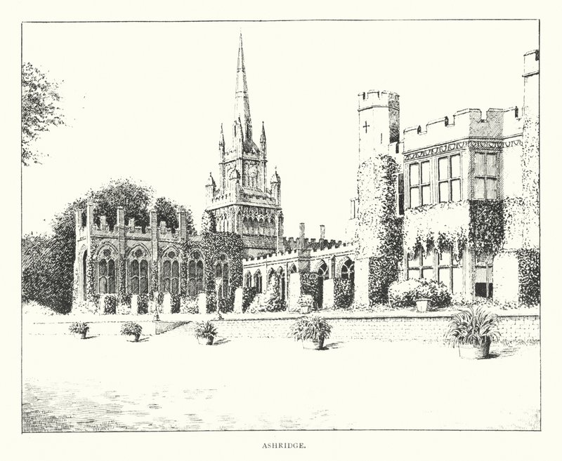 Ashridge (litografia) autorstwa Duncan Moul