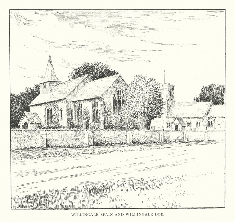 Willingale Spain i Willingale Doe (litografia) autorstwa Duncan Moul