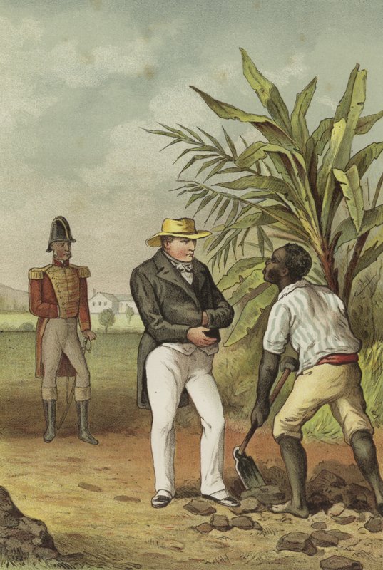 Napoleon na Św. Helenie autorstwa Dutch School