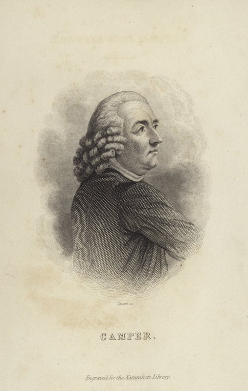 Piotr Camper autorstwa Dutch School