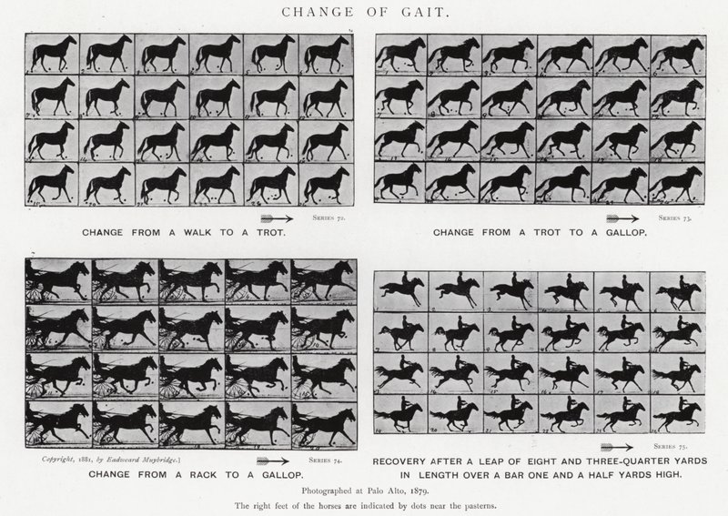 Eadweard Muybridge: Zmiana chodu (zdjęcie czarno-białe) autorstwa Eadweard Muybridge