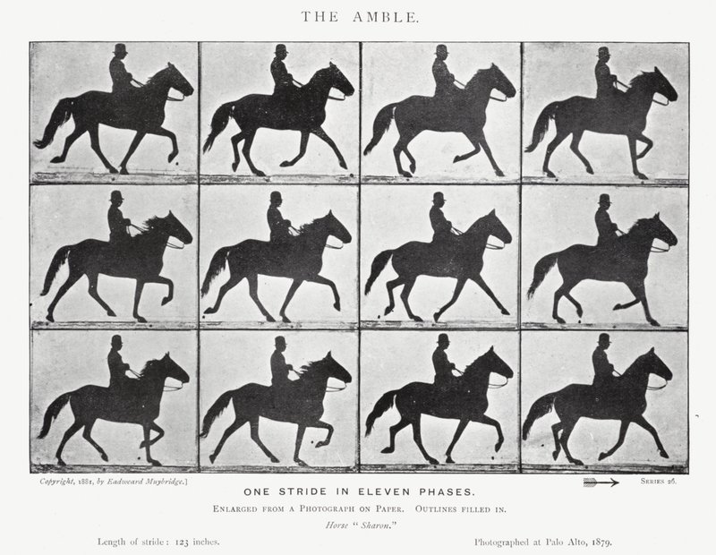 Eadweard Muybridge: The Amble (zdjęcie czarno-białe) autorstwa Eadweard Muybridge