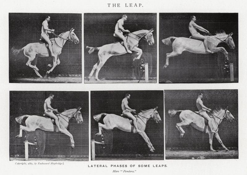 Eadweard Muybridge: The Leap (zdjęcie czarno-białe) autorstwa Eadweard Muybridge