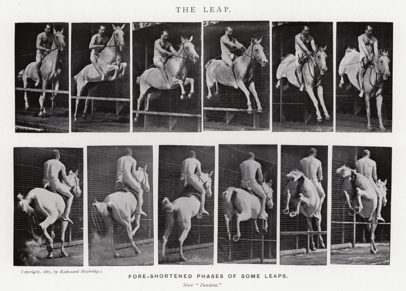 Eadweard Muybridge: Skok (zdjęcie czarno-białe) autorstwa Eadweard Muybridge