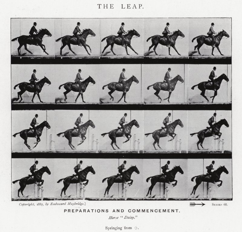Eadweard Muybridge: Skok (zdjęcie czarno-białe) autorstwa Eadweard Muybridge