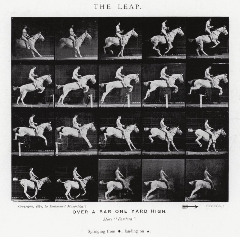 Eadweard Muybridge: The Leap (zdjęcie czarno-białe) autorstwa Eadweard Muybridge