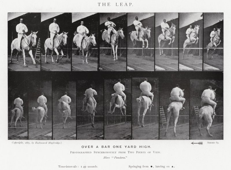 Eadweard Muybridge: The Leap (zdjęcie czarno-białe) autorstwa Eadweard Muybridge