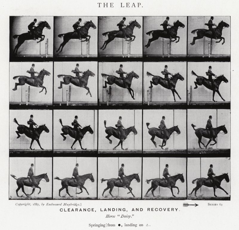 Eadweard Muybridge: The Leap (zdjęcie czarno-białe) autorstwa Eadweard Muybridge