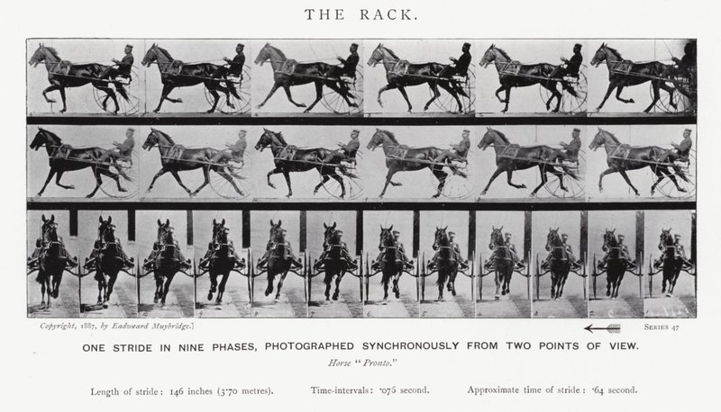 Eadweard Muybridge: The Rack (zdjęcie czarno-białe) autorstwa Eadweard Muybridge