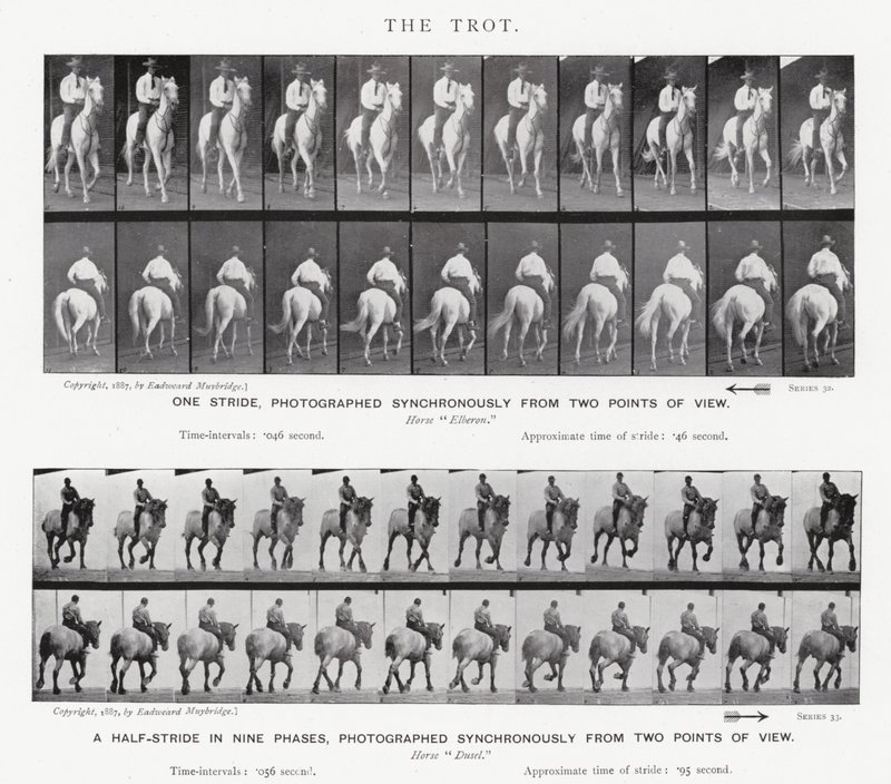 Eadweard Muybridge: Kłus autorstwa Eadweard Muybridge