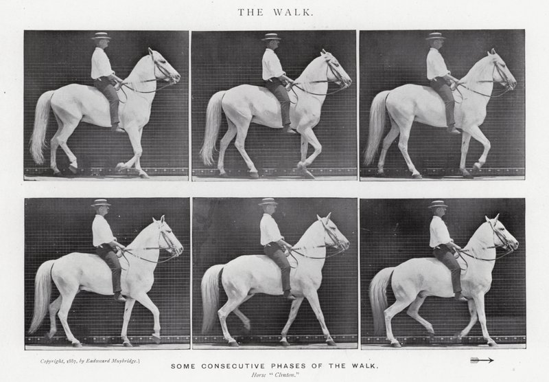Eadweard Muybridge: The Walk (zdjęcie czarno-białe) autorstwa Eadweard Muybridge