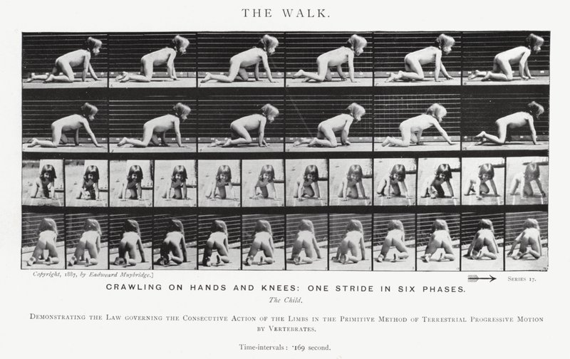 Eadweard Muybridge: The Walk (zdjęcie czarno-białe) autorstwa Eadweard Muybridge