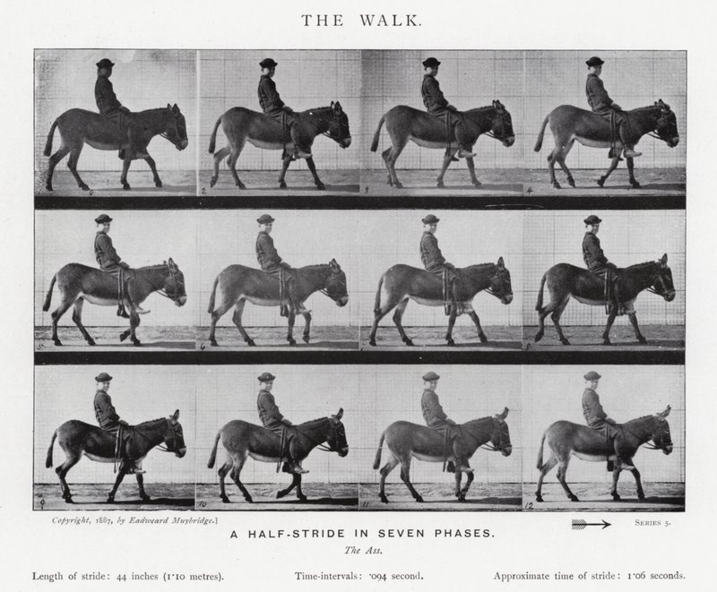 Eadweard Muybridge: The Walk (zdjęcie czarno-białe) autorstwa Eadweard Muybridge