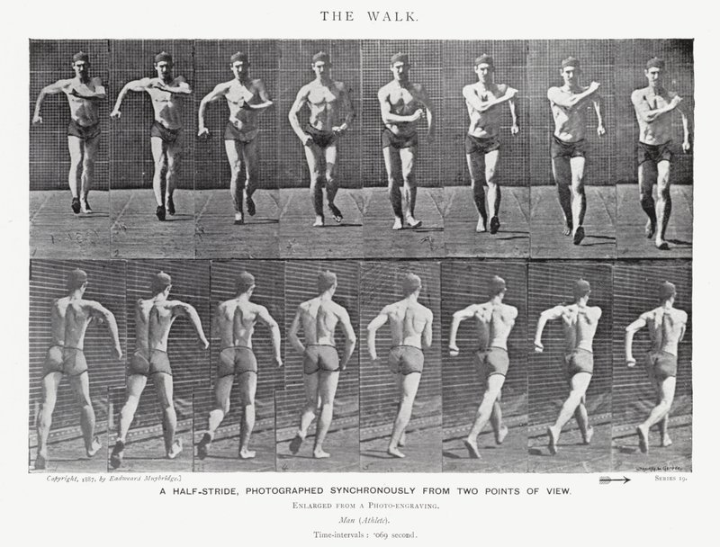 Eadweard Muybridge: The Walk (zdjęcie czarno-białe) autorstwa Eadweard Muybridge