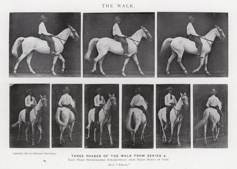 Eadweard Muybridge: The Walk (zdjęcie czarno-białe) autorstwa Eadweard Muybridge