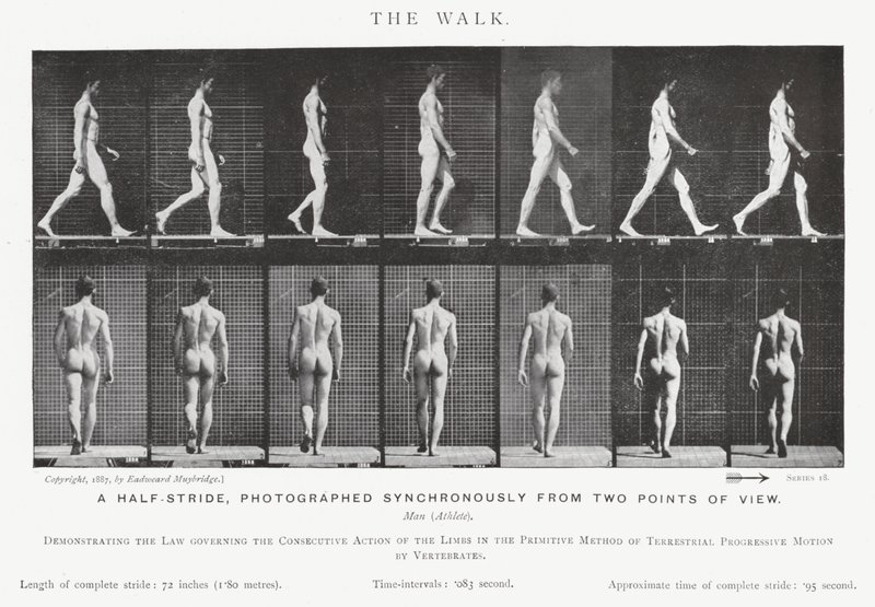 Eadweard Muybridge: The Walk (zdjęcie czarno-białe) autorstwa Eadweard Muybridge