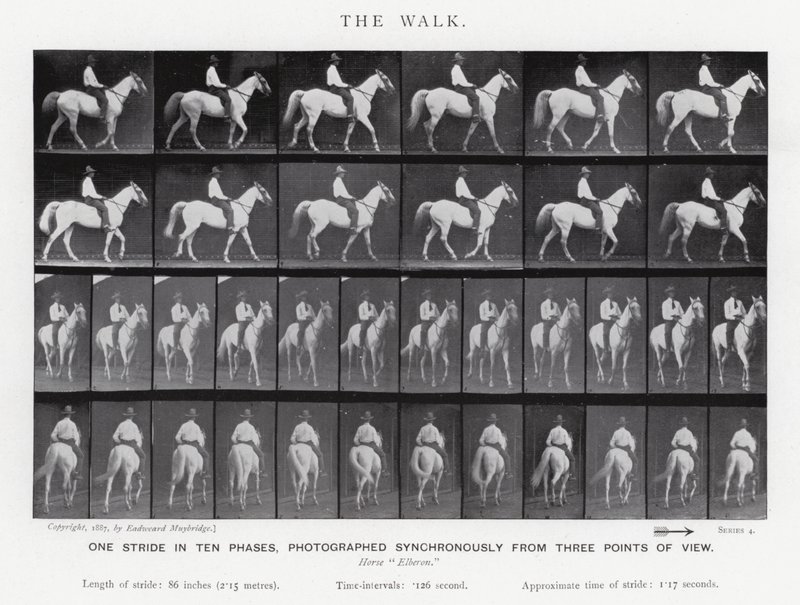 Eadweard Muybridge: The Walk (zdjęcie czarno-białe) autorstwa Eadweard Muybridge