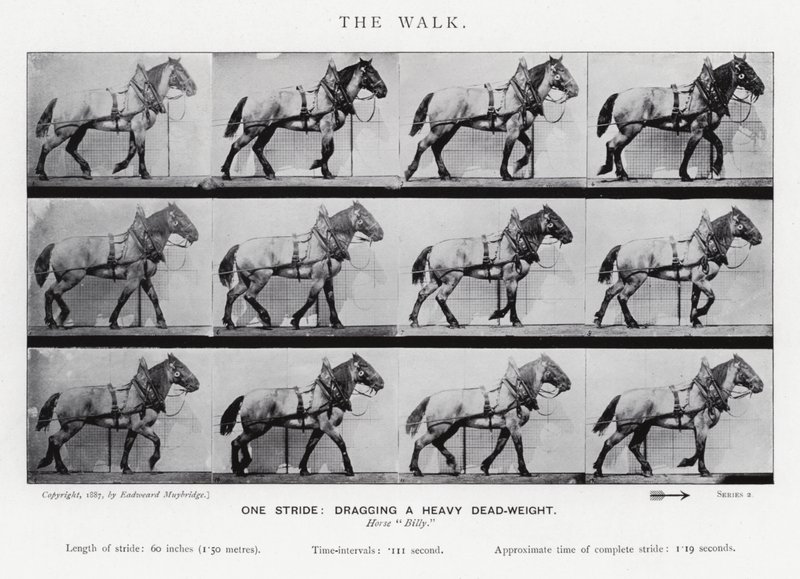 Eadweard Muybridge: The Walk autorstwa Eadweard Muybridge