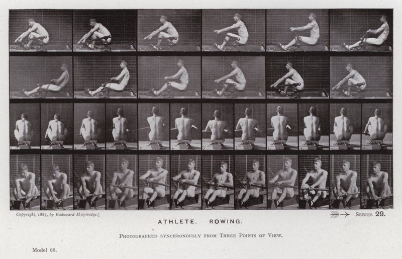Postać ludzka w ruchu: sportowiec, wioślarstwo (zdjęcie czarno-białe) autorstwa Eadweard Muybridge