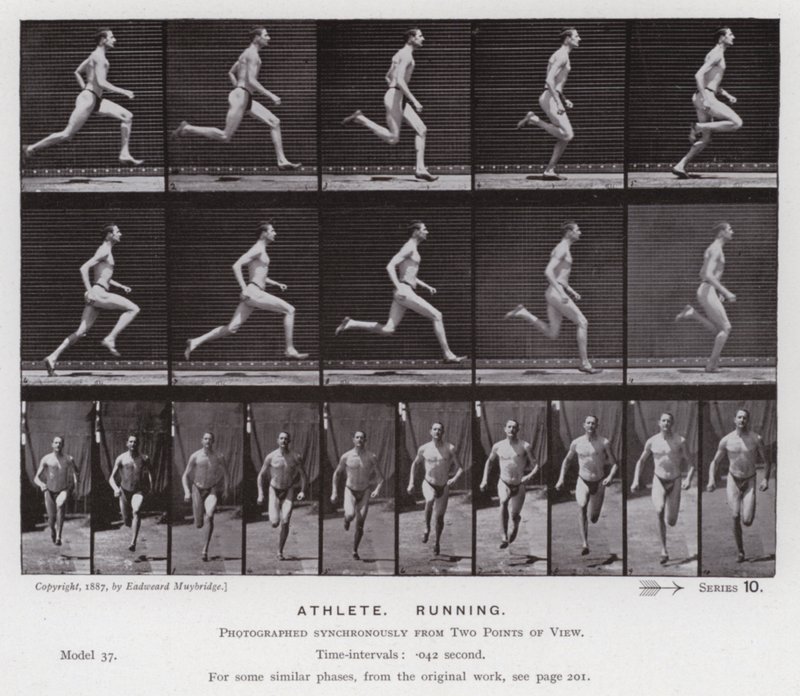 Postać ludzka w ruchu: sportowiec, bieganie (zdjęcie czarno-białe) autorstwa Eadweard Muybridge