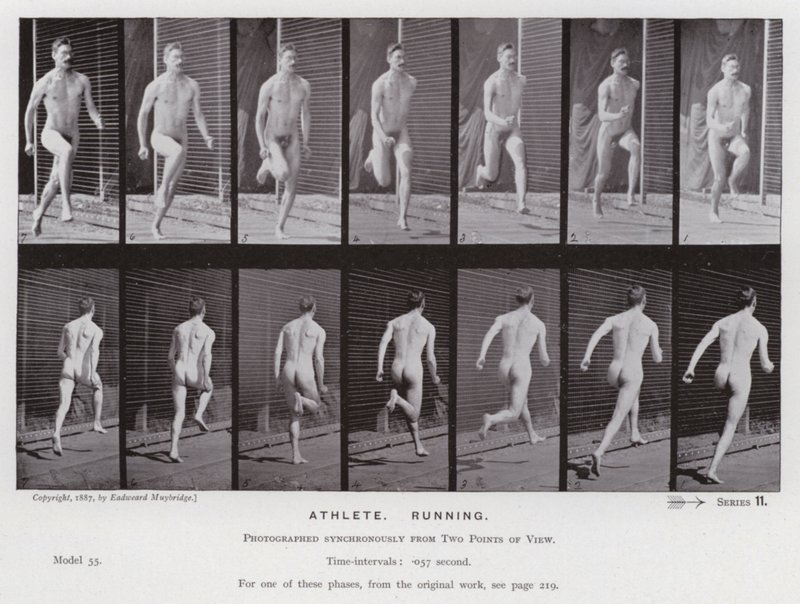 Postać ludzka w ruchu: sportowiec, bieganie (zdjęcie czarno-białe) autorstwa Eadweard Muybridge
