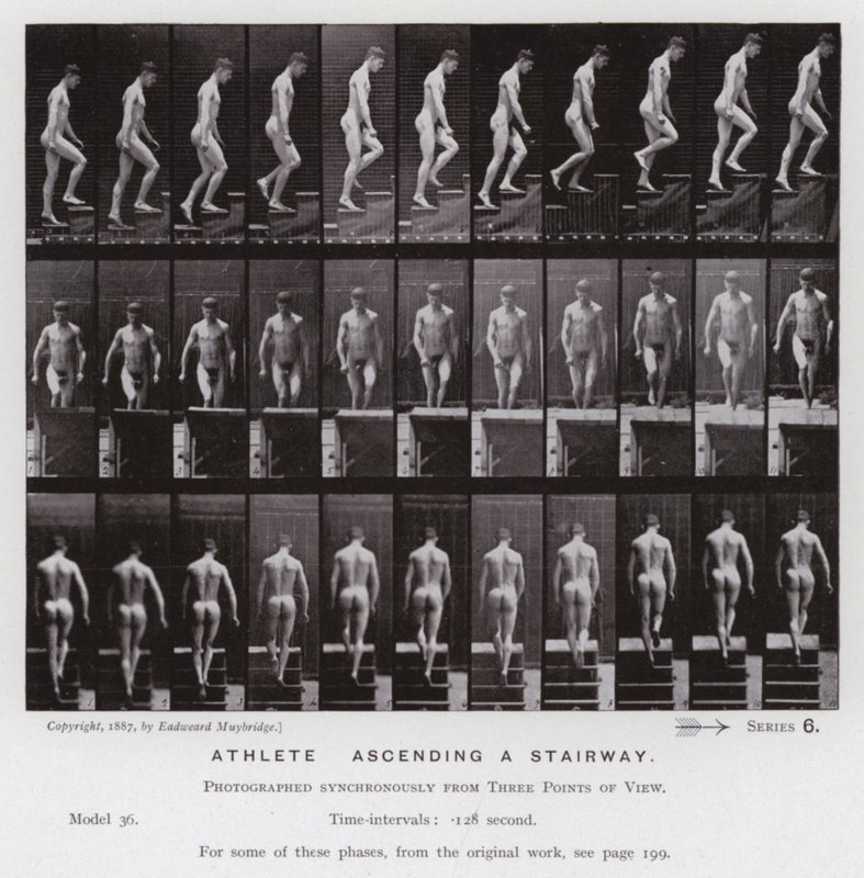 Postać ludzka w ruchu: sportowiec, wchodząc po schodach (zdjęcie czarno-białe) autorstwa Eadweard Muybridge