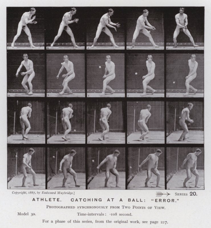 Postać ludzka w ruchu: sportowiec, łapie piłkę, „błąd” (zdjęcie czarno-białe) autorstwa Eadweard Muybridge