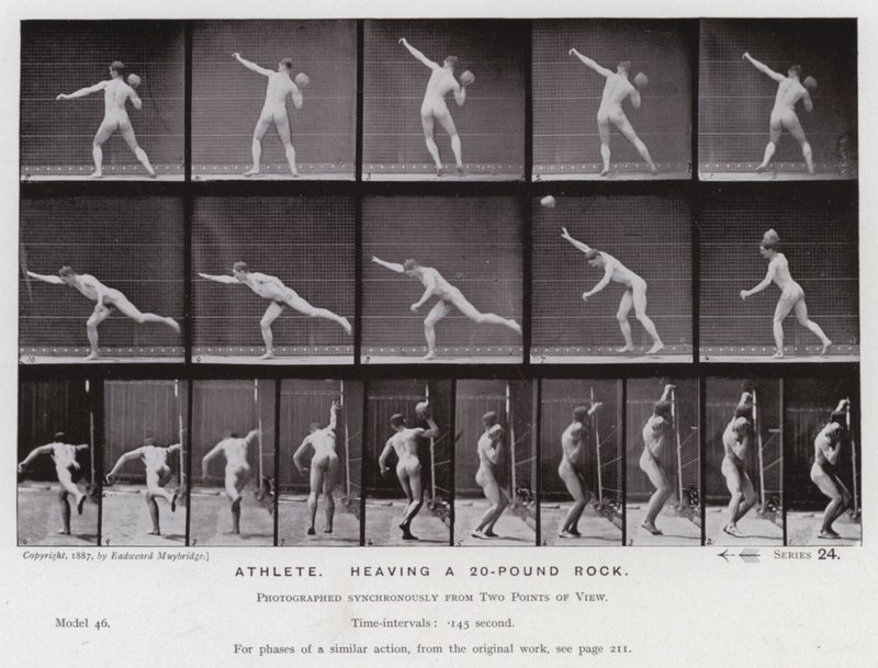 Postać ludzka w ruchu: sportowiec, dźwigający 20-funtowy kamień (zdjęcie czarno-białe) autorstwa Eadweard Muybridge