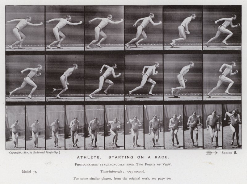 Postać ludzka w ruchu: sportowiec, startujący w wyścigu (zdjęcie czarno-białe) autorstwa Eadweard Muybridge