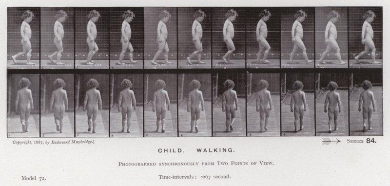 Postać ludzka w ruchu: dziecko, chodzenie (zdjęcie czarno-białe) autorstwa Eadweard Muybridge