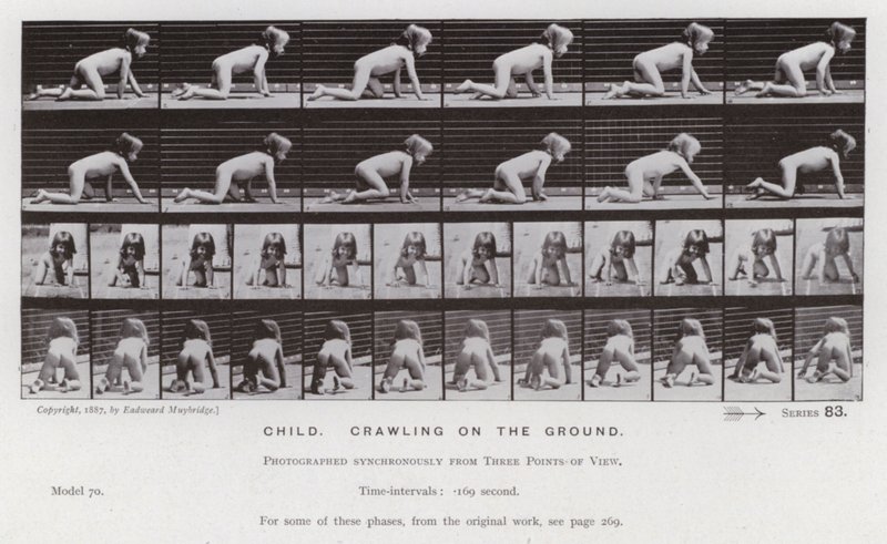 Ludzka postać w ruchu: Dziecko, czołgające się po ziemi autorstwa Eadweard Muybridge