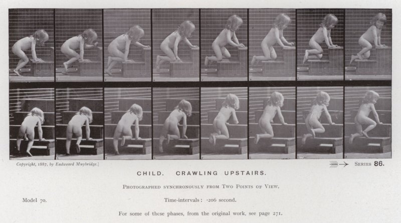Ludzka postać w ruchu: dziecko, czołgające się po schodach (zdjęcie czarno-białe) autorstwa Eadweard Muybridge