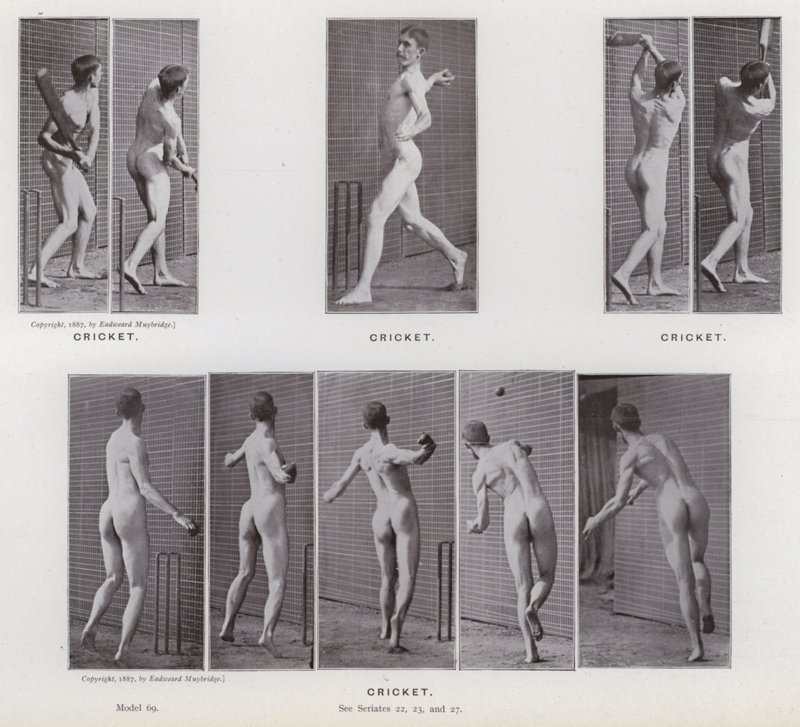 Postać ludzka w ruchu: krykiet (zdjęcie czarno-białe) autorstwa Eadweard Muybridge