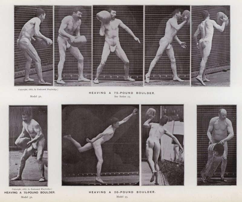 Ludzka postać w ruchu: unoszenie 75-funtowego głazu; Podnoszenie 20-funtowego głazu (zdjęcie czarno-białe) autorstwa Eadweard Muybridge