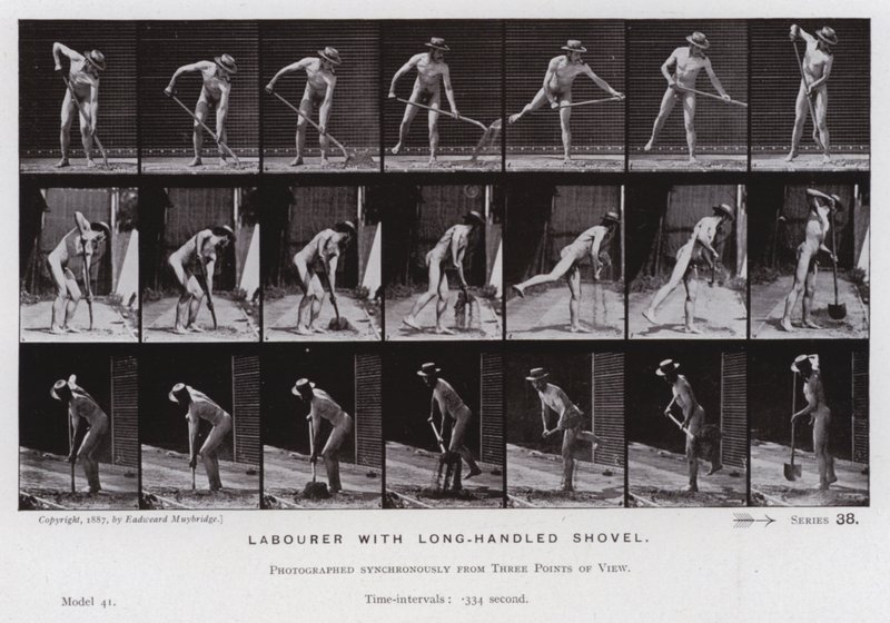Postać ludzka w ruchu: Robotnik z łopatą z długim trzonkiem (zdjęcie czarno-białe) autorstwa Eadweard Muybridge