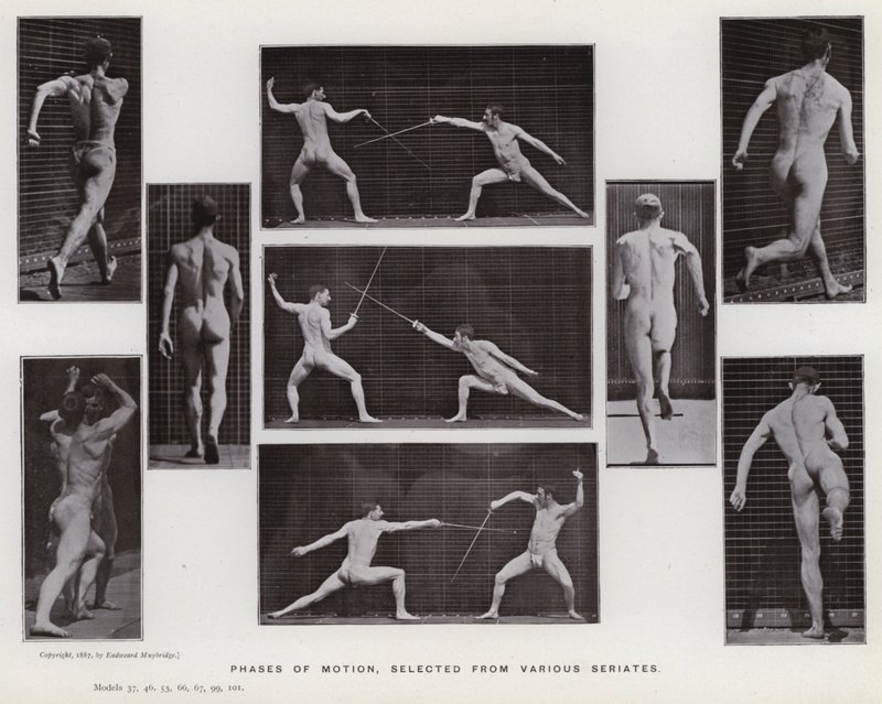 Figura ludzka w ruchu: fazy ruchu wybrane z różnych serii (zdjęcie czarno-białe) autorstwa Eadweard Muybridge