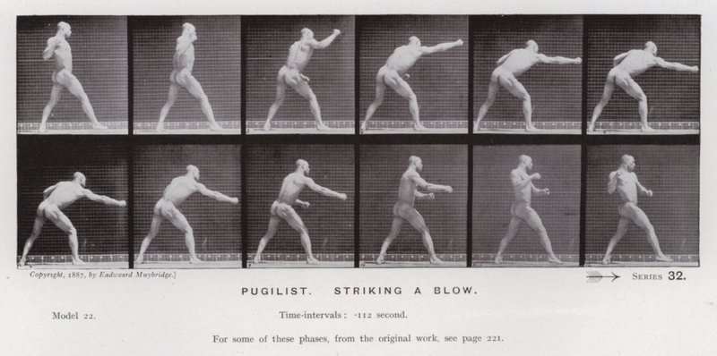 Postać ludzka w ruchu: Pugilist, zadający cios (zdjęcie czarno-białe) autorstwa Eadweard Muybridge