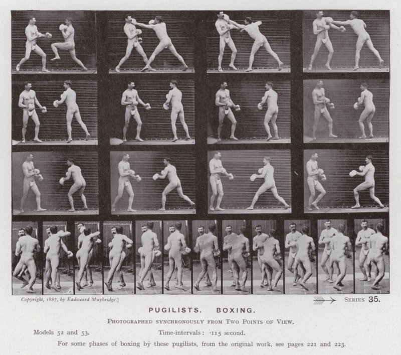 Postać ludzka w ruchu: pięściarze, boks (zdjęcie czarno-białe) autorstwa Eadweard Muybridge
