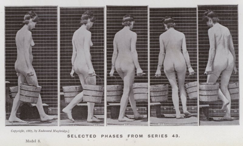 Figura ludzka w ruchu: wybrane fazy z serii 43 (zdjęcie czarno-białe) autorstwa Eadweard Muybridge