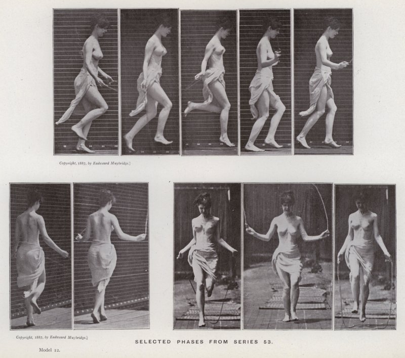Figura ludzka w ruchu: wybrane fazy z serii 53 (zdjęcie czarno-białe) autorstwa Eadweard Muybridge