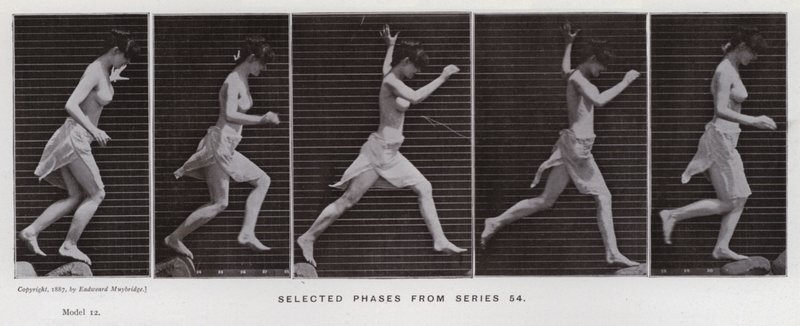 Figura ludzka w ruchu: wybrane fazy z serii 54 (zdjęcie czarno-białe) autorstwa Eadweard Muybridge
