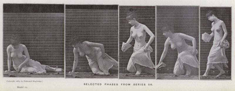 Figura ludzka w ruchu: wybrane fazy z serii 56 (zdjęcie czarno-białe) autorstwa Eadweard Muybridge