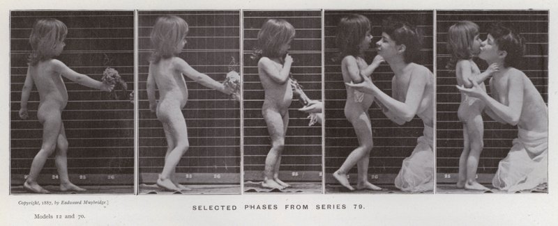 Figura ludzka w ruchu: wybrane fazy z serii 79 (zdjęcie czarno-białe) autorstwa Eadweard Muybridge